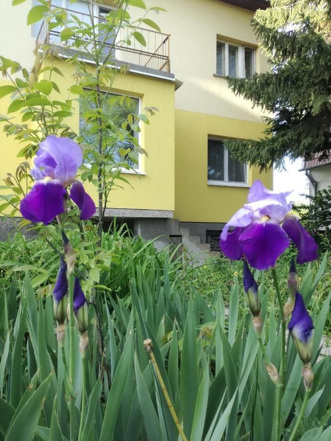 Проживание в семье Стаи за гости 