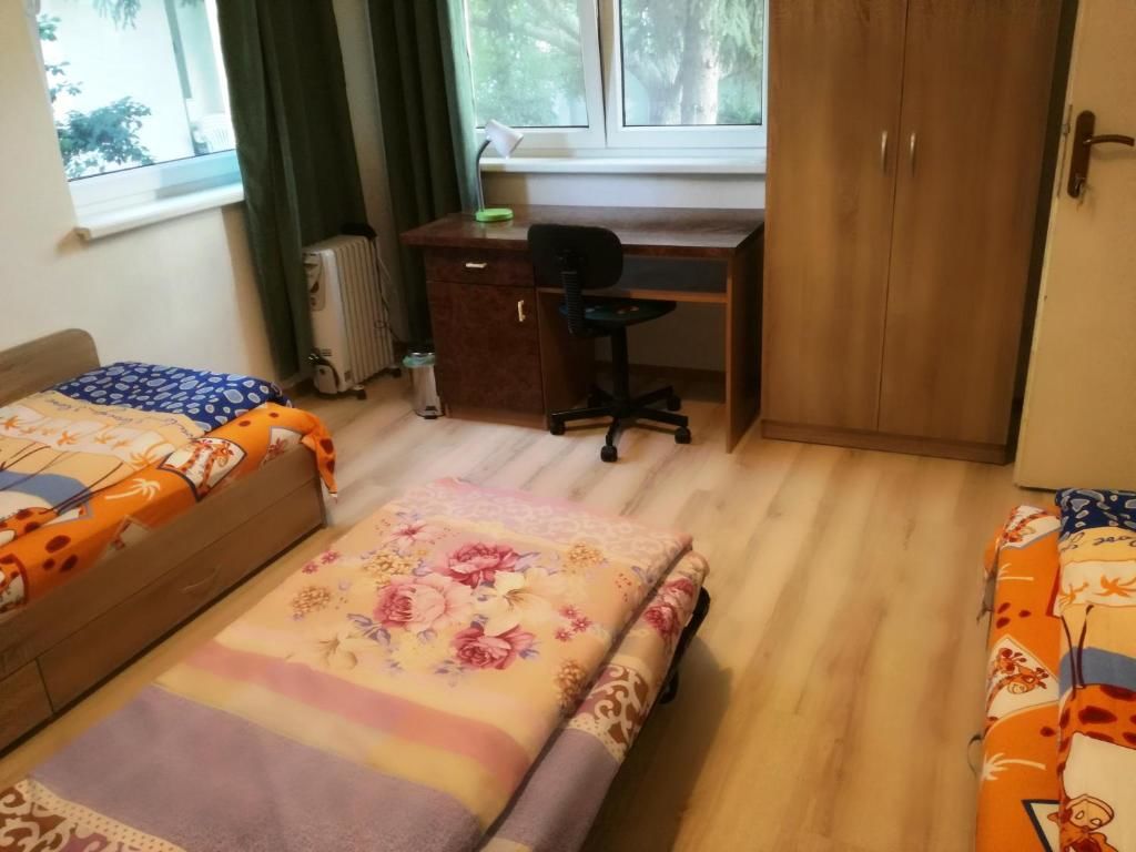 Проживание в семье Стаи за гости 