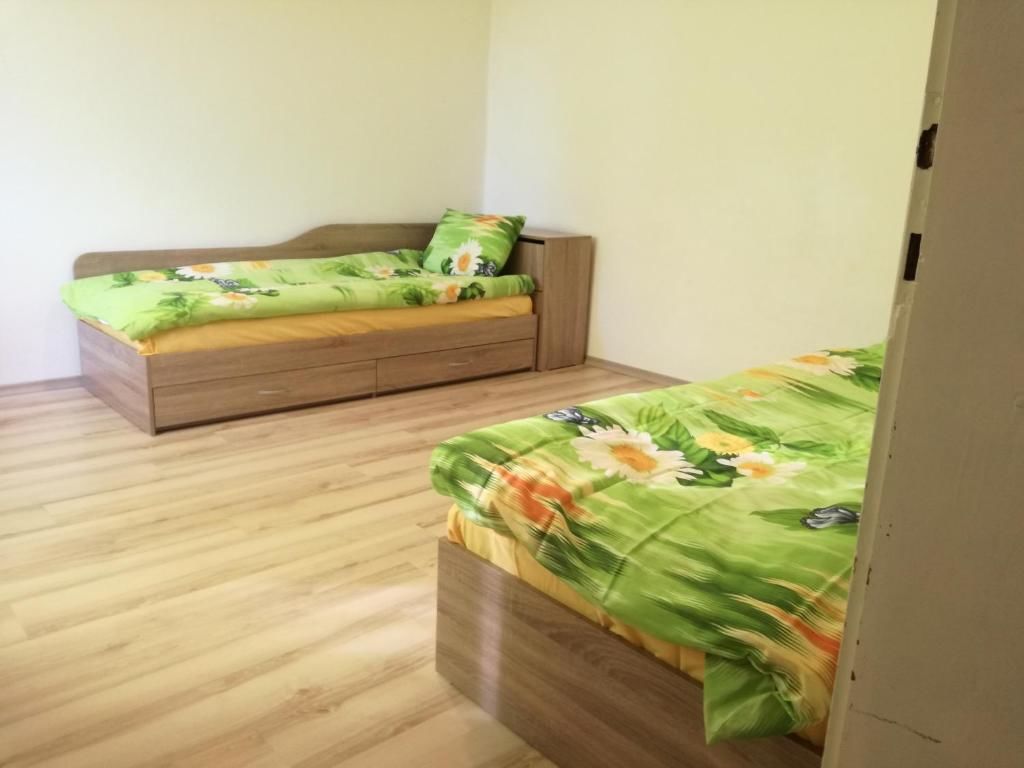 Проживание в семье Стаи за гости 