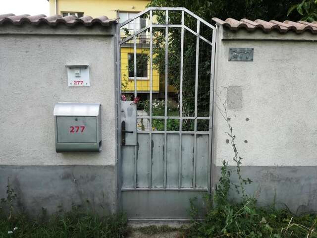 Проживание в семье Стаи за гости 